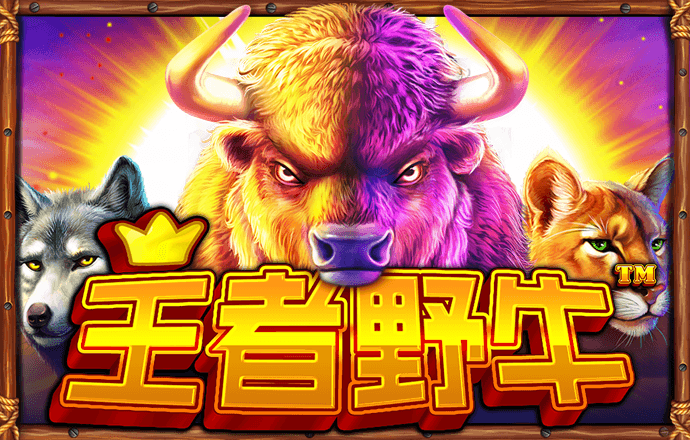 welcome网址官方网站
