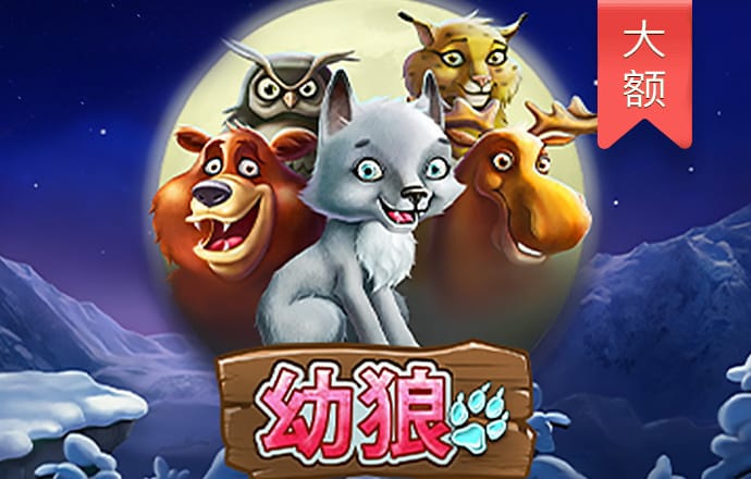 得胜28手机版